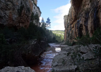 Ecologistas en Acción y AEMS-Ríos con Vida proponen la protección de 21 ríos en la cuenca del Júcar
