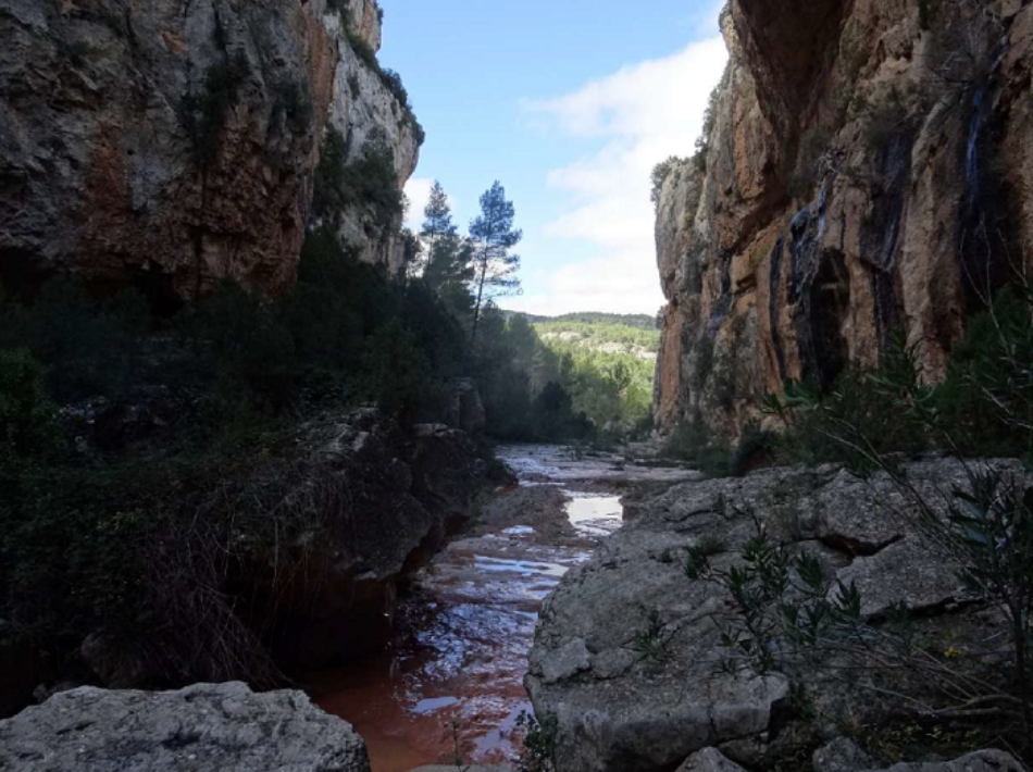 Ecologistas en Acción y AEMS-Ríos con Vida proponen la protección de 21 ríos en la cuenca del Júcar