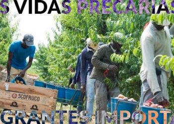 Declaración: «Las vidas precarias y migrantes importan»