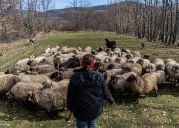 La Alianza por la Salud Alimentaria reclama una regulación de los conflictos de intereses para defender la salud pública