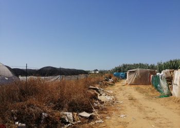 Carta a Fernando Grande-Marlaska: alerta sobre la situación de las temporeras en Huelva