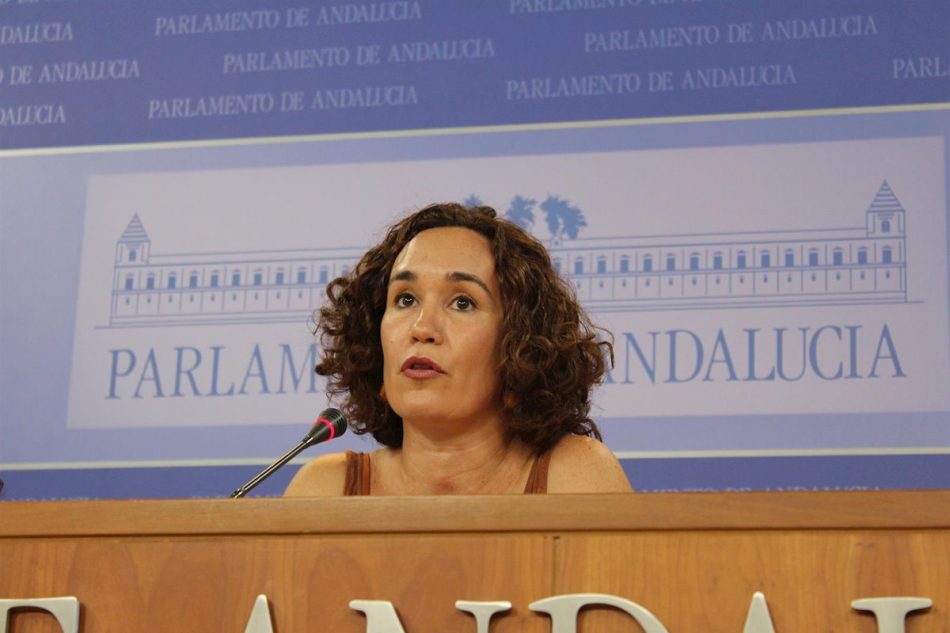 Naranjo pide al Gobierno andaluz que fiscalice la gestión del cheque libro para que se cumpla la normativa y no se vean perjudicadas las pequeñas y medianas librerías