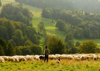 Amigos da Terra considera que a agricultura e gandería sostibles son medidas claves para frear a incidencia de futuras pandemias