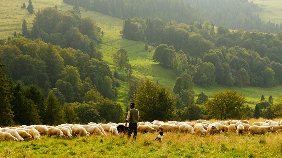 Amigos da Terra considera que a agricultura e gandería sostibles son medidas claves para frear a incidencia de futuras pandemias