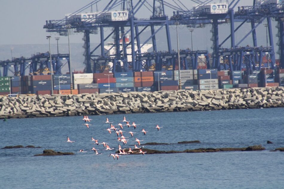 El Comité de Peticiones del Parlamento Europeo realizará una investigación preliminar sobre la Paralización del Plan de Infraestructuras del Puerto de la Bahía de Algeciras