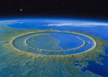 La vida se recuperó en 700.000 años donde impactó el asteroide que acabó con los dinosaurios