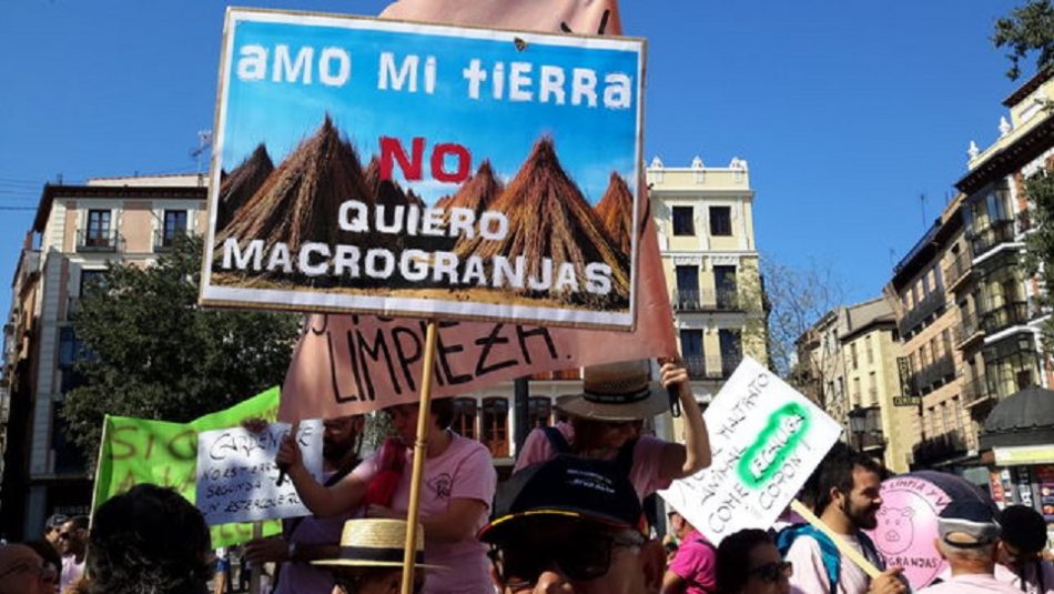 IU Castilla y León eleva al Parlamento Europeo su preocupación por los proyectos de macrogranjas en Palencia