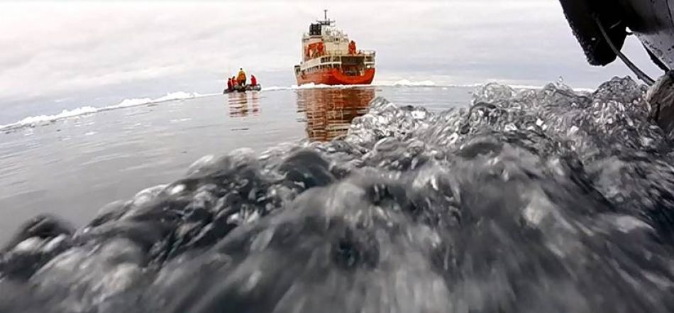 Predicen la emisión de un gas producido por el fitoplancton en el océano Antártico que altera el clima