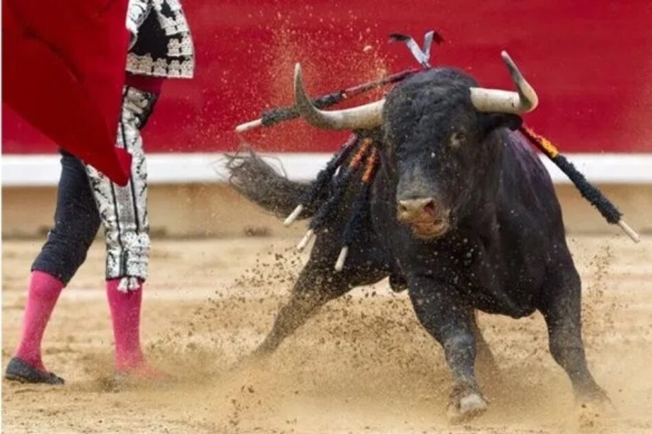 Izquierda Unida Alcalá anuncia que «no dará ni un euro público a tauromaquia» y convertirá la plaza de toros en un gran recinto libre de tortura animal para conciertos y otros espectáculos