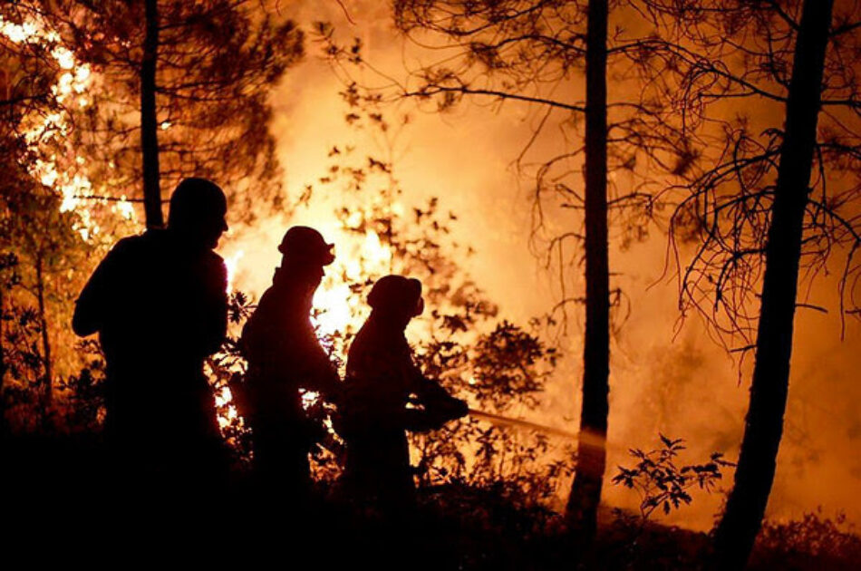 El abandono del medio rural está aumentando la vulnerabilidad ante los incendios de alta intensidad en España