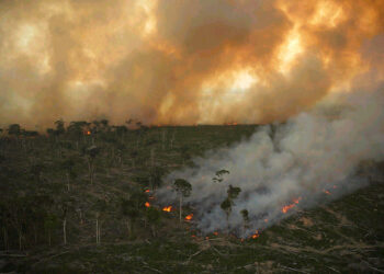 Alerta: un nuevo verano de incendios en varias regiones del planeta agudizará la emergencia climática