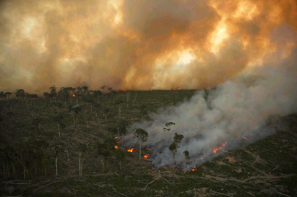 Alerta: un nuevo verano de incendios en varias regiones del planeta agudizará la emergencia climática
