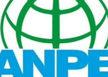 El sindicato ANPE se opone a las huelgas de educación