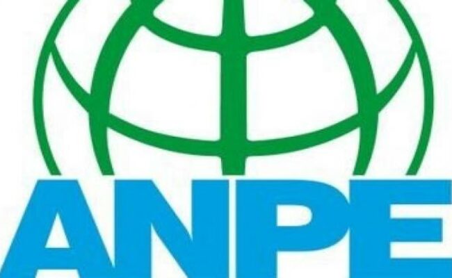 El sindicato ANPE se opone a las huelgas de educación