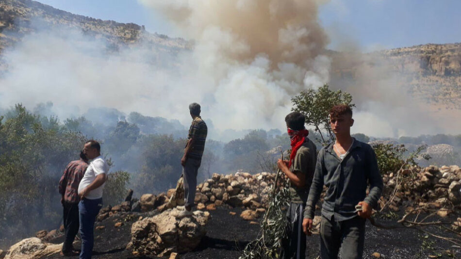 Los incendios forestales son una campaña de destrucción ecológica en el Kurdistán