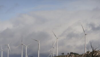 Trama eólica en Castilla y León: el juicio que destapa un sistema de presiones, vetos y corrupción en la gestión de las renovables