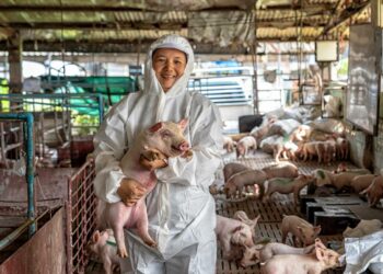 La trinidad para afrontar futuras pandemias: una sola salud humana, animal y ambiental