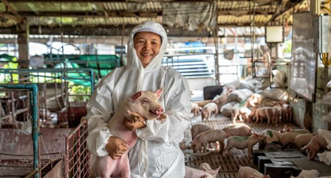 La trinidad para afrontar futuras pandemias: una sola salud humana, animal y ambiental
