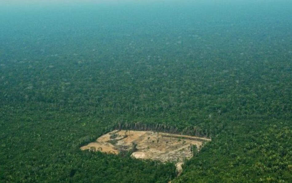 Concentración por la selva amazónica en Málaga