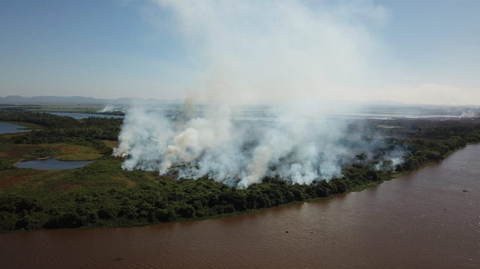 Más de 1.600 focos de incendios en la región brasileña de Panatal