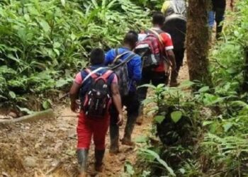 Grupos armados asesinan a cinco indígenas colombianos y secuestran a 40 más