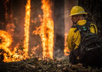 Amigos da Terra considera que o PLADIGA non está a cumplir os seus obxectivos