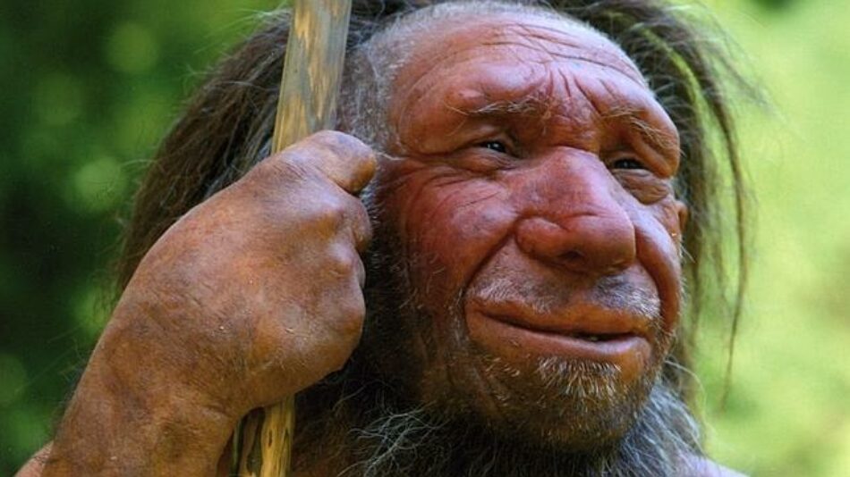 Los neandertales tenían mayor semejanza genética con los ‘Homo sapiens’ que con los denisovanos