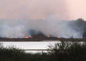 Ecologistas Extremadura denuncia ante la UE quemas masivas en regadíos extremeños