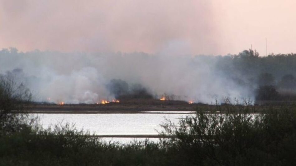 Ecologistas Extremadura denuncia ante la UE quemas masivas en regadíos extremeños