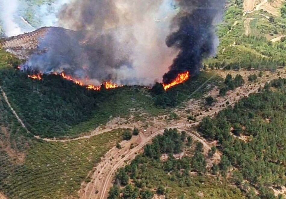 EU denuncia o abandono do monte galego e demanda á Xunta un plan de prevención e extinción dos lumes real con incremento de medios