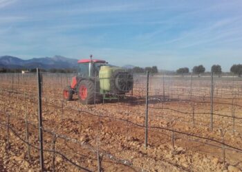 Compromís pide paralizar las importaciones de productos agrícolas de Turquía y Egipto