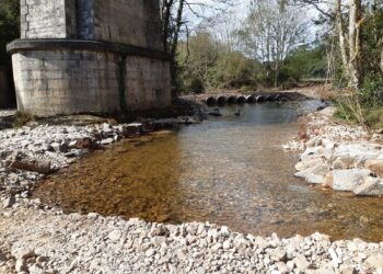 Otra agresión al río Esva en pleno remonte de los salmones