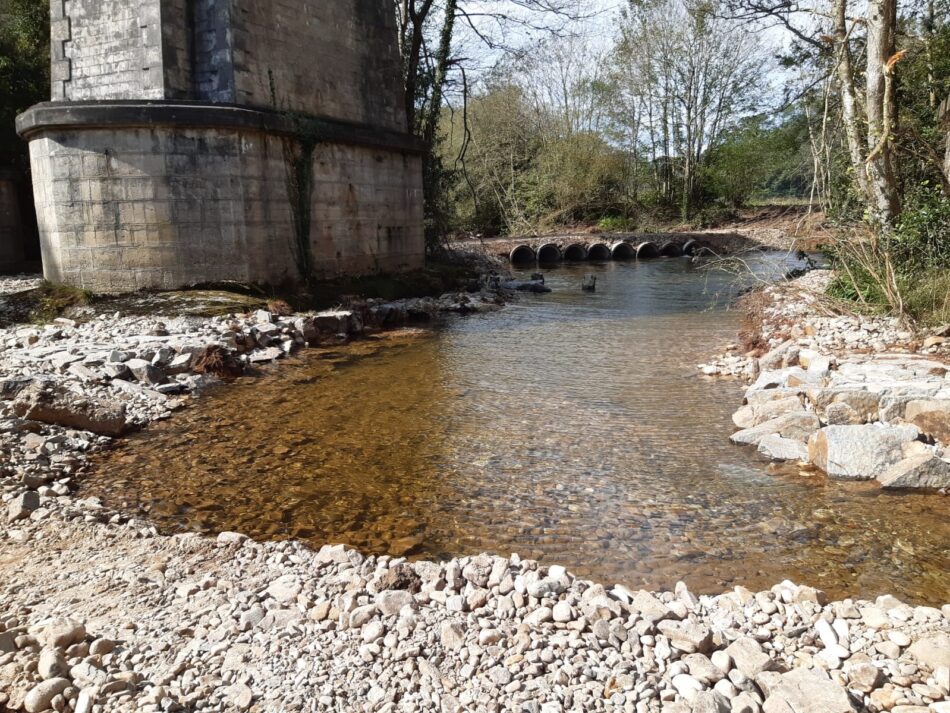 Otra agresión al río Esva en pleno remonte de los salmones