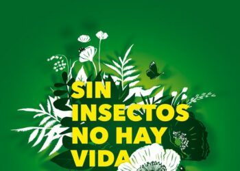 Los insectos tienen una tasa de extinción ocho veces más rápida que la de mamíferos, aves y reptiles