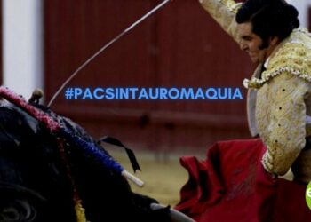 EQUO presenta enmiendas para acabar con las subvenciones a la tauromaquia en la Política Agraria Común (PAC)