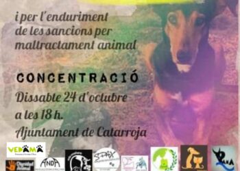 Por «Timple», por el endurecimiento de las sanciones por maltrato animal