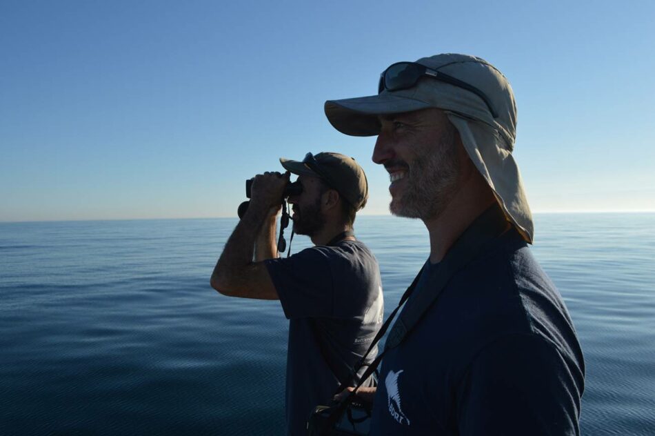 Bruno Díaz López, director del Instituto de Investigación Bottlenose Dolphin: “Se le está dando repercusión mediática al comportamiento de una o dos orcas”