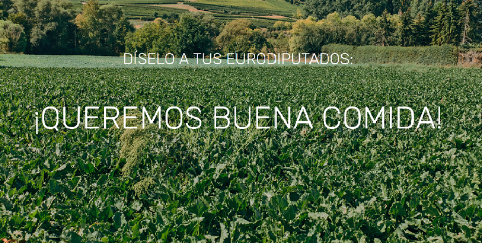 EQUO reclama una Política Agraria Común verde y justa que defienda la producción ecológica y local, y a los pequeños agricultores/as