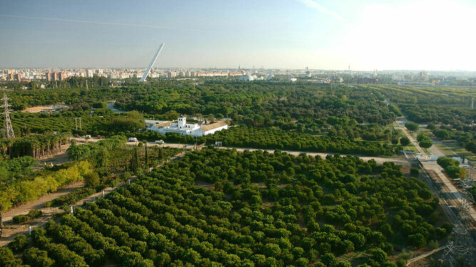 Podemos exige mantener la gestión pública del Parque del Alamillo en Sevilla