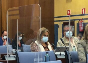 Adelante pide a la consejera Blanco medidas para “una conciliación real ante el aumento de la desigualdad entre hombres y mujeres a raíz de la crisis sanitaria”