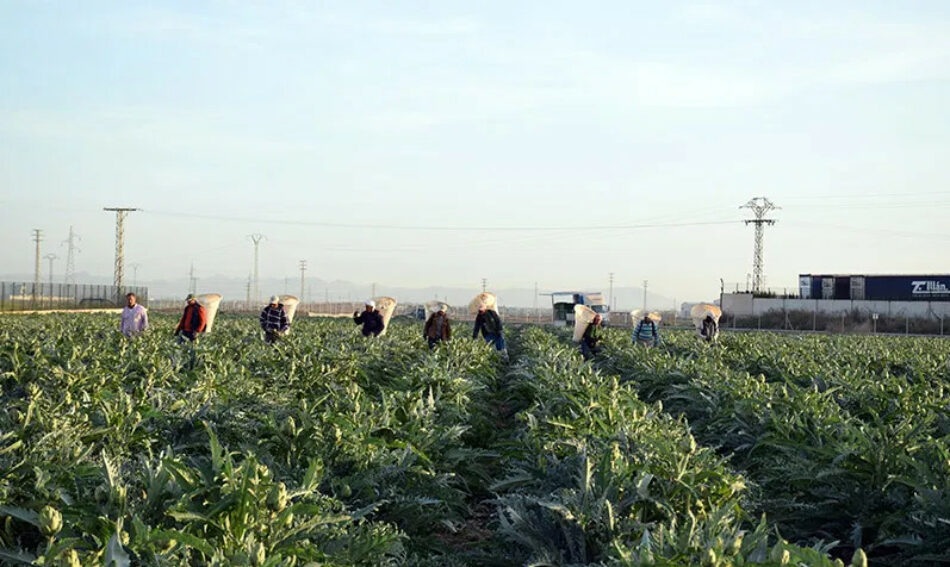 El Partido y la Juventud Comunista de la Región de Murcia denuncian la insostenible situación de los trabajadores del campo