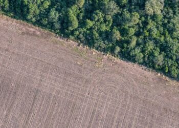 Unidas Podemos pide que se analice el impacto medioambiental del Acuerdo de Asociación UE-Mercosur