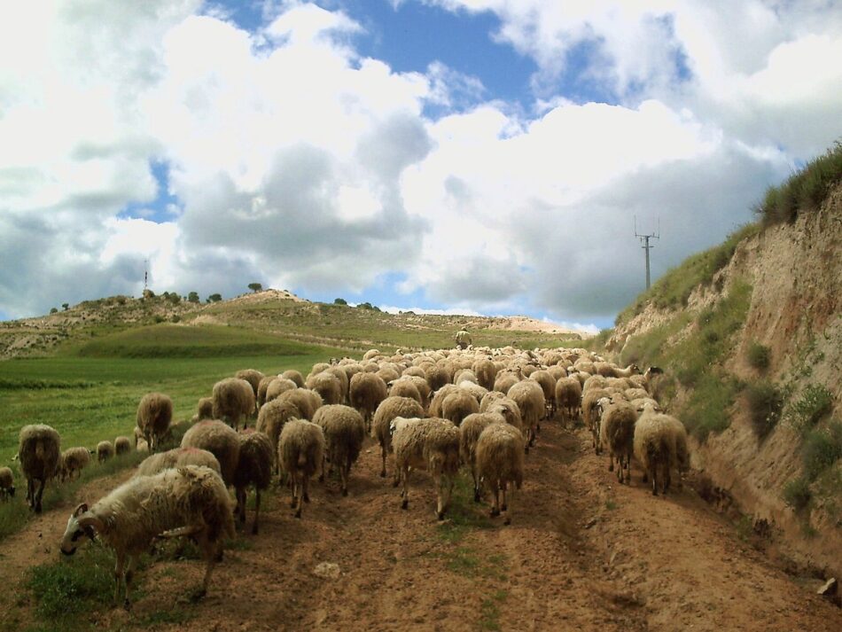 Unidas Podemos plantea incorporar un registro de contratos en la Ley de Cadena Alimentaria para garantizar precios justos para el campo