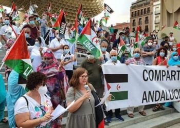 Solidaridad con el Pueblo Saharaui, cumplimiento de los Acuerdos de Paz de 1991 y celebración del referéndum