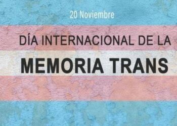 Plataforma Trans denuncia que el 98% de personas trans asesinadas en 2020 eran mujeres trans y demanda el trámite urgente de la Ley Trans