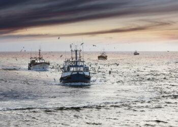 La pesca podría aliviar una emergencia alimentaria mundial en casos extremos