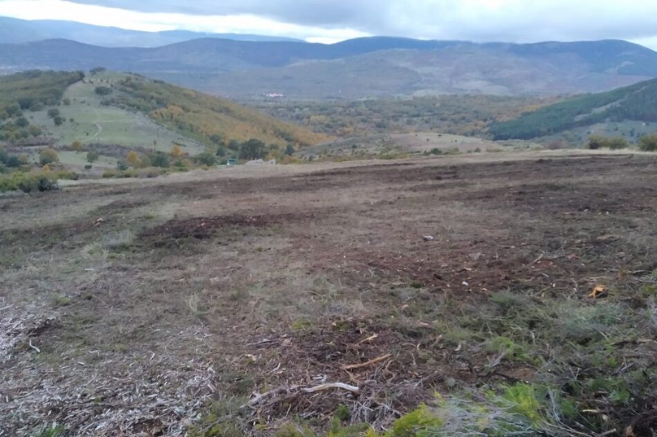 Arrasan zonas de pasto en la Reserva de la Biosfera de la Sierra del Rincón (Madrid)