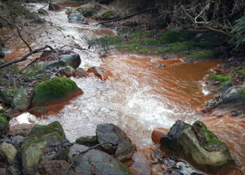 Ecoloxistas en Acción agarda resposta institucional da Valedora do Pobo sobre o abandono das balsas mineiras de San Finx