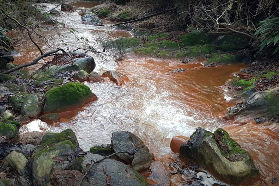 Ecoloxistas en Acción agarda resposta institucional da Valedora do Pobo sobre o abandono das balsas mineiras de San Finx