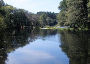 Ecoloxistas en Acción demanda á Confederación Hidrográfica Miño-Sil a anulación da concesión ao Club Fluvial de Lugo ao atoparse en Rede Natura 2000